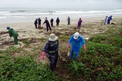 Ảnh chỉ có tính chất minh họa. (Nguồn: Trần Lê Lâm/TTXVN)