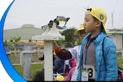 Ảnh minh họa. (Nguồn: Tổng cục KTTV) 