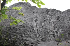 Ảnh chỉ có tính chất minh họa. (Nguồn ảnh: Hùng Võ/Vietnam+)