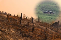 Theo báo cáo tại phiên họp Ủy ban Thường vụ Quốc Hội mới đây về thực hiện Nghị quyết số 76/2014/QH13 đẩy mạnh giảm nghèo bền vững đến năm 2020, cả nước vẫn còn 58.000 hộ dân thiếu đất ở và 303.578 hộ thiếu đất sản xuất. (Ảnh: Hùng Võ/Vietnam+)