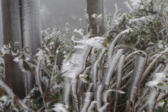 Đợt rét đậm đầu tiên có khả năng sẽ xảy ra vào khoảng giữa tháng 12 tới. (Nguồn ảnh: TTXVN)