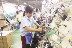 Hanel sẽ bán đấu giá 19,1 triệu cổ phần ra công chúng, ngày 14/4. (Ảnh: HNX)