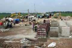 Ảnh minh họa. (Nguồn: TTXVN)