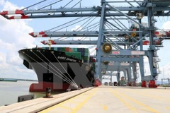 Ảnh minh họa. (Nguồn: TTXVN)