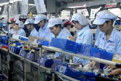 Ảnh minh họa. (Nguồn: TTXVN)