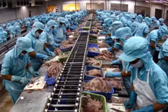 Cán cân thương mại hai chiều Việt - Phát, hiện đang có lợi cho Việt Nam. (Ảnh minh họa. Nguồn: TTXVN)