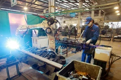 Công ty cổ phần Xuân Hòa Việt Nam. (Ảnh: PV/Vietnam+)