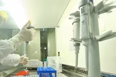 Ảnh chỉ có tính minh họa. (Nguồn: TTXVN)