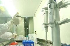 Ảnh chỉ có tính minh họa. (Nguồn: TTXVN)