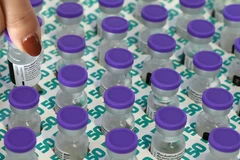 Vaccine ngừa COVID-19 của Pfizer/ BioNTech. (Ảnh: AFP/TTXVN)