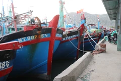 Tàu thuyền neo đậu tránh bão Rai tại cảng cá Cà Ná, xã Cà Ná, huyện Thuận Nam, Ninh Thuận. (Ảnh: Nguyễn Thành/TTXVN)