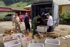 Lực lượng chức năng phát hiện hơn 1 tấn sản phẩm động vật không rõ nguồn gốc, đã bốc mùi hôi thối. (Ảnh: Công an Sơn La)
