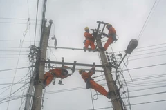 Đầu tư xây dựng một số công trình lưới điện trung, hạ áp để chống quá tải. (Ảnh: Tường Quân/TTXVN)