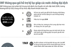 [Infographics] Gói hỗ trợ kỷ lục giúp các nước chống đại dịch COVID-19