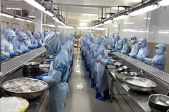 Chế biến tôm đông lạnh xuất khẩu tại Công ty cổ phần Thủy sản Thông Thuận Cam Ranh, tỉnh Khánh Hòa. (Ảnh: Phan Sáu/TTXVN)