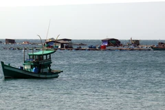 Nuôi cá lồng bè trên vùng biển An Thới, thành phố Phú Quốc. (Ảnh: Lê Huy Hải/TTXVN)