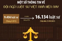 [Infographics] Một số thông tin về đội ngũ luật sư Việt Nam hiện nay