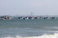 (Ảnh: Phạm Cường/TTXVN)