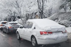 Những chiếc xe ôtô phủ đầy tuyết ở Chuncheon, cách Seoul 85km về phía đông ngày 2/3. (Nguồn: Yonhap)