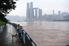  Nước sông Dương Tử dâng cao. (Nguồn: Tân hoa xã)