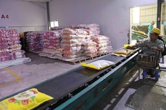 Vận chuyển gạo xuất khẩu tại nhà máy chế biến gạo của Công ty TNHH MTV Lương thực Thoại Sơn, thuộc Tập đoàn Lộc Trời. (Ảnh: Phạm Hậu/TTXVN)