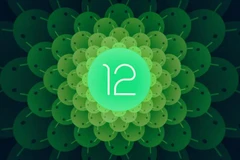 (Nguồn: theverge.com)