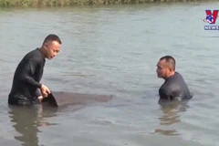 Hình ảnh bãi gỗ lậu khủng giấu dưới lòng hồ thủy điện Sê San 4