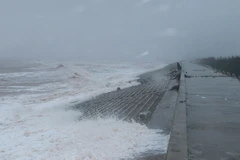 Ảnh minh họa. (Nguồn: Văn Đạt/TTXVN)