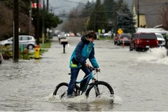 Một con đường tại British Columbia ngập lụt sau mưa bão ngày 15/11. (Nguồn: Reuters)