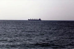 Ảnh minh họa. (Nguồn: aa.com.tr)