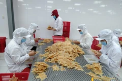 Công nhân tại Bến Tre làm việc trở lại sau thời gian giãn cách. (Ảnh: Huỳnh Phúc Hậu/TTXVN)