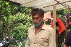 [Video] Truy cứu trách nhiệm trong vụ trồng cần sa giữa thủ đô Hà Nội