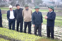 Thứ trưởng Lê Quốc Doanh yêu cầu ngành Nông nghiệp và chính quyền địa phương cùng như bà con nông dân tập trung triển khai sản xuất, gieo trồng đúng lịch thời vụ, đảm bảo vụ mùa thắng lợi. (Ảnh: Võ Dung/TTXVN)