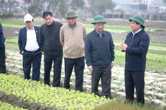 Thứ trưởng Lê Quốc Doanh yêu cầu ngành Nông nghiệp và chính quyền địa phương cùng như bà con nông dân tập trung triển khai sản xuất, gieo trồng đúng lịch thời vụ, đảm bảo vụ mùa thắng lợi. (Ảnh: Võ Dung/TTXVN)