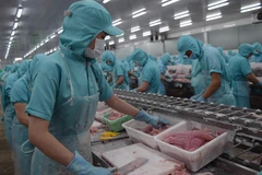 Quy trình sản xuất tại một cơ sở chế biến thủy sản của tỉnh Đồng Tháp. (Ảnh: Chương Đài/TTXVN)