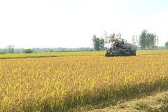 [Video] Việt Nam cung ứng lương thực, thực phẩm bền vững cho thế giới