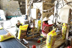 Đóng gói gạo xuất khẩu theo đơn đặt hàng tại nhà máy chế biến lương thực Long An (thuộc Vinafood 2). (Ảnh: Vũ Sinh/TTXVN)