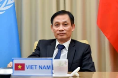 Thứ trưởng Ngoại giao Lê Hoài Trung phát biểu. (Ảnh: TTXVN phát)