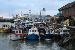 Tàu cá neo ở cảng Scarborough, Đông Bắc Anh ngày 4/1/2021. (Ảnh: AFP/TTXVN)