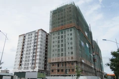 Ảnh minh họa. (Nguồn: TTXVN)