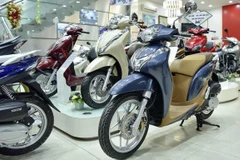 (Ảnh: PV/Vietnam+)