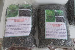 Hạt chuối Mồ côi đã đóng gói thành phẩm cung cấp cho thị trường. (Ảnh: Nguyễn Thành/TTXVN)