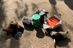 Tang vật trong một vụ đá gà bị lực lượng Công an phát hiện bắt giữ. (Ảnh: TTXVN phát)