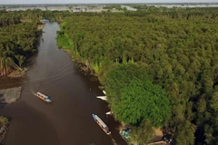 Một góc khu du lịch làng nổi Tân Lập nhìn từ trên cao. (Ảnh: An Hiếu/TTXVN)