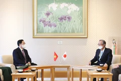 Thủ tướng Phạm Minh Chính hội kiến Chủ tịch Hạ viện Nhật Bản Hosoda Hiroyuki. (Ảnh: Dương Giang/TTXVN)