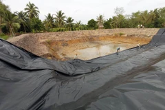 Nhà vườn ở Chợ Lách, Bến Tre đào ao, phủ bạt để trữ nước ngọt ứng phó với hạn mặn. (Ảnh: Trần Thị Thu Hiền/TTXVN)