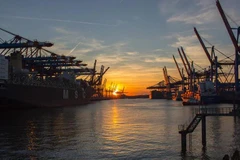 Ảnh minh họa. (Nguồn: ndtv.com)