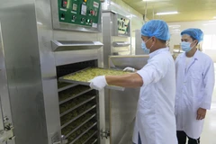 Sấy chanh tẩm mật ong để xuất khẩu sang thị trường Nhật Bản. (Ảnh: Minh Hưng/TTXVN)