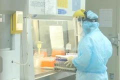 Nhân viên CDC Hà Nội làm xét nghiệm COVID-19. (Ảnh: Minh Quyết/TTXVN)