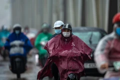 Ảnh minh họa. (Nguồn: Minh Sơn/Vietnam+)